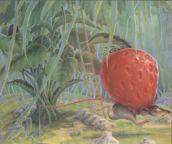 The Little Mouse, the Red Ripe Strawberry, and the Big Hungry Bear story telling time (09),绘本,绘本故事,绘本阅读,故事书,童书,图画书,课外阅读